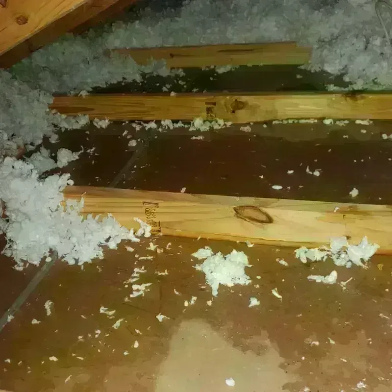 Attic Water Damage in Ouray County, CO