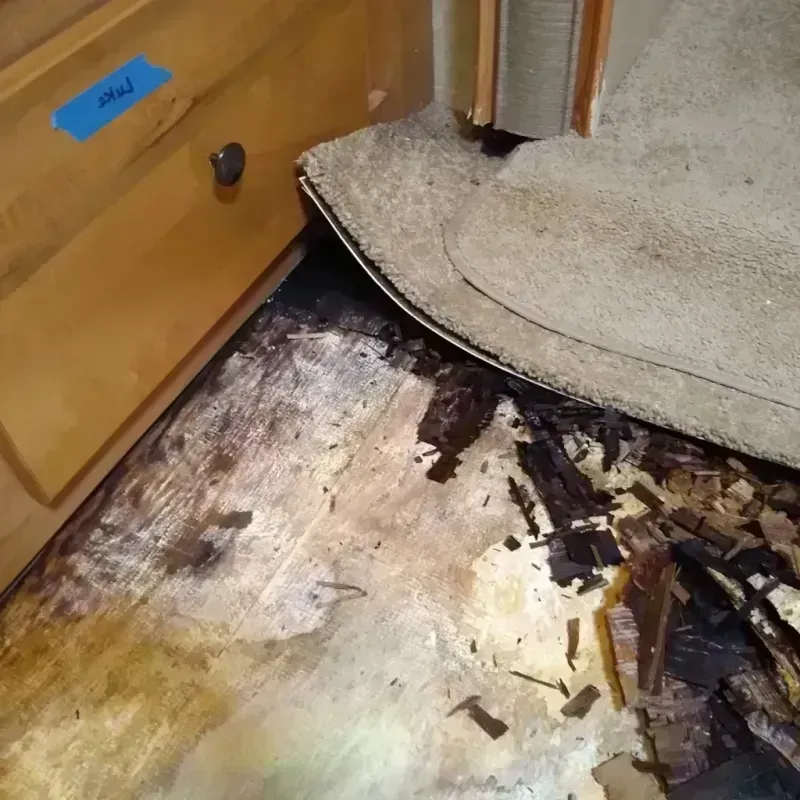 Wood Floor Water Damage in Ouray County, CO